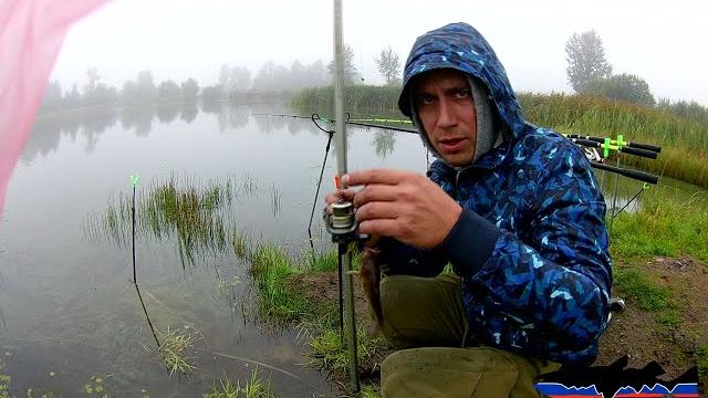 Канадский сом. ловля сома в д. забродье Канадский сом. ловля сома в д. забродье