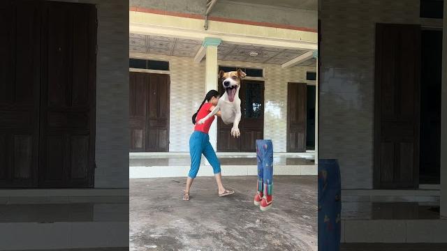 Funny dog and ugly girl tease hana to run away Funny dog and ugly girl tease hana to run away