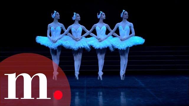 Swan lake, tchaikovsky - dance of the little swans Swan lake, tchaikovsky - dance of the little swans