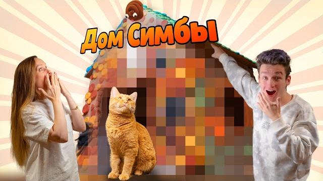 Мы построили дом из пластелина для симбочки! Мы построили дом из пластелина для симбочки!