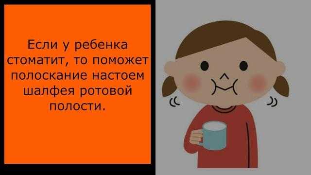 Шалфей трава/инструкция/применение Шалфей трава/инструкция/применение