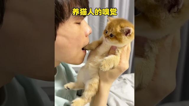 【牛奶是只猫】养猫人才知道的含金量 【牛奶是只猫】养猫人才知道的含金量