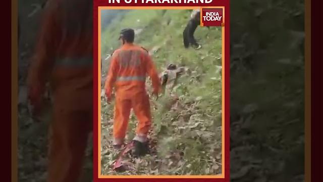 Uttarakhand helicopter crash: 7 killed in helicopter crash in uttarakhand, chopper services shut Uttarakhand helicopter crash: 7 killed in helicopter crash in uttarakhand, chopper services shut