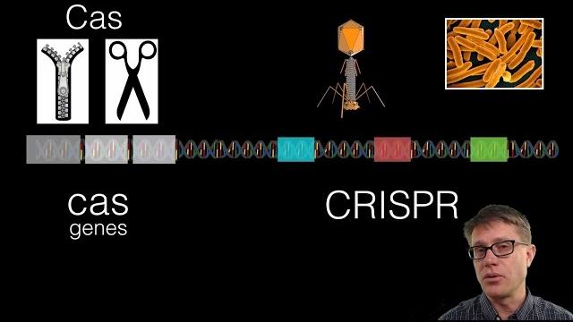 What is crispr? What is crispr?