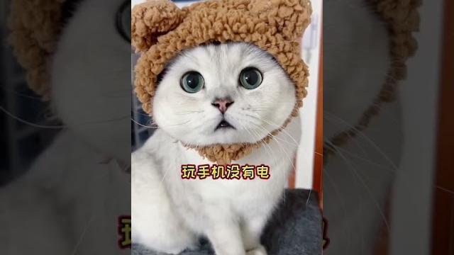 【大圆子】看你还敢不敢不理我!哼! 【大圆子】看你还敢不敢不理我!哼!