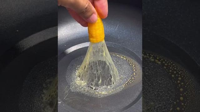 Experiment jagung ekor komet Experiment jagung ekor komet
