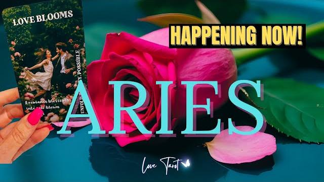 ️ aries expect the unexpected in this read! important decisions in love #aries #tarot #ariestarot ️ aries expect the unexpected in this read! important decisions in love #aries #tarot #ariestarot