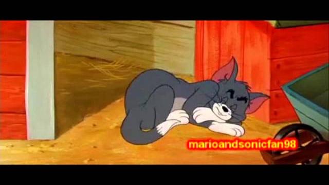 Ytp- tom and jerry: jerry tries to kill a duck Ytp- tom and jerry: jerry tries to kill a duck