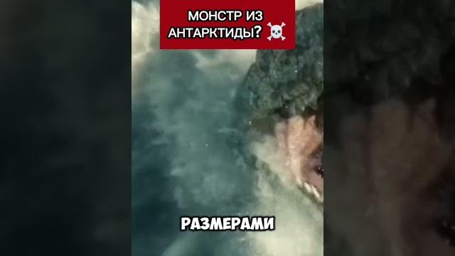 Нашли морского монстра в антарктиде! #альтернативная_история #интересно #факты #антарктида Нашли морского монстра в антарктиде! #альтернативная_история #интересно #факты #антарктида