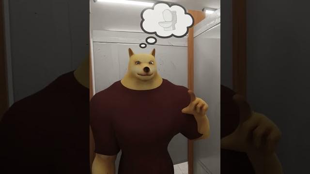 Banana cat and whiny toilet | happy cat video Banana cat and whiny toilet | happy cat video
