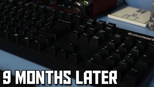 Steelseries 6gv2 review - 9 months later Steelseries 6gv2 review - 9 months later