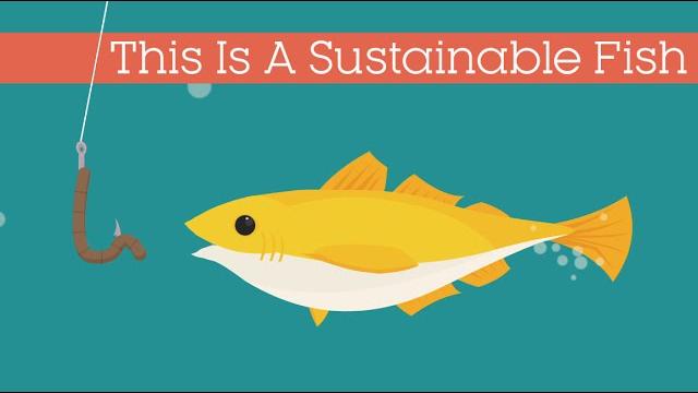 This is a sustainable fish This is a sustainable fish