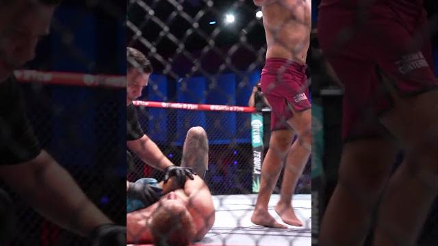 What a fight #dwcs What a fight #dwcs