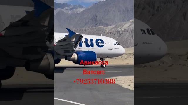 #aviabilet #moskva #musofir #bekmobil #tashkent #uzbek #aviakassa #uzbekistann1 #uzbekistan #aviabilet #moskva #musofir #bekmobil #tashkent #uzbek #aviakassa #uzbekistann1 #uzbekistan