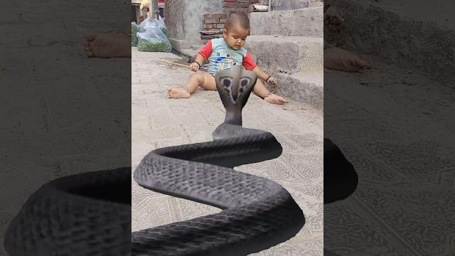 Snake vfx video #youtubeshort #2023 #trending #viral #magic #funnyvideo nag video har har shambhu Snake vfx video #youtubeshort #2023 #trending #viral #magic #funnyvideo nag video har har shambhu