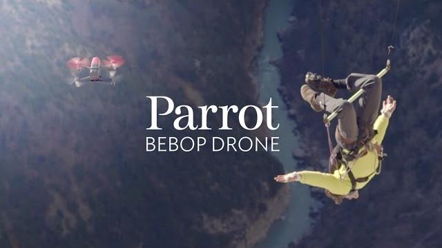 Catching bebop drones - with the flying frenchies Catching bebop drones - with the flying frenchies