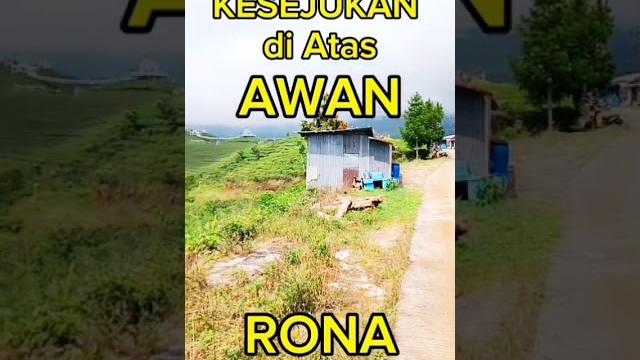Kesejukan di atas awan.....rona pegunungan... #badut #fingerstyle #angin #beyonce #musiknostalgia Kesejukan di atas awan.....rona pegunungan... #badut #fingerstyle #angin #beyonce #musiknostalgia