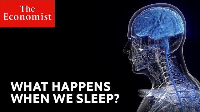 What happens when we sleep? What happens when we sleep?