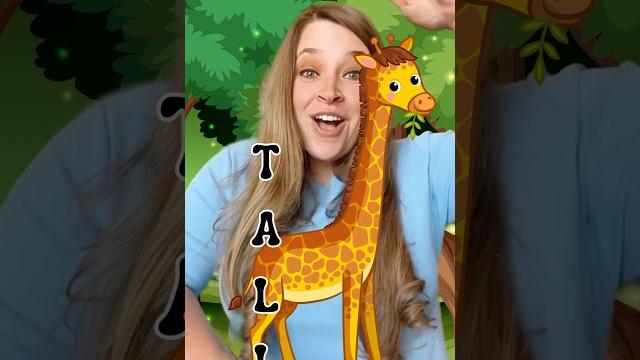 Have fun learning opposites with ms jessica | kids Have fun learning opposites with ms jessica | kids