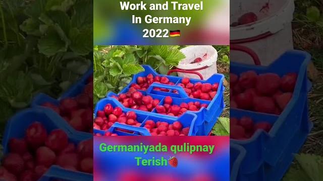 Germaniyada work and travel 2022 Germaniyada work and travel 2022