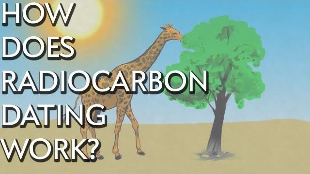 How does radiocarbon dating work? - instant egghead #28 How does radiocarbon dating work? - instant egghead #28