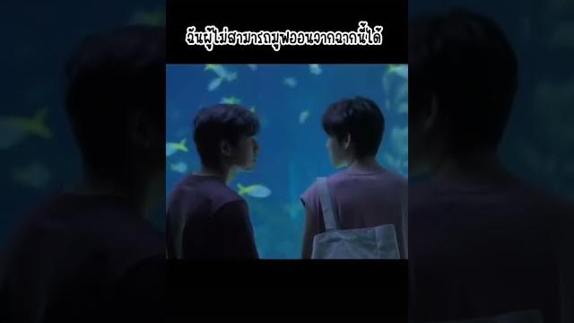 #billkin #ppkritt #bkpp #billkin #ppkritt #bkpp