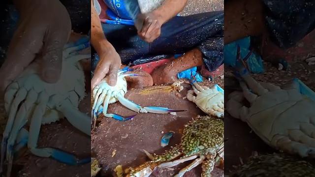 Crab cutting skills | seafood Crab cutting skills | seafood
