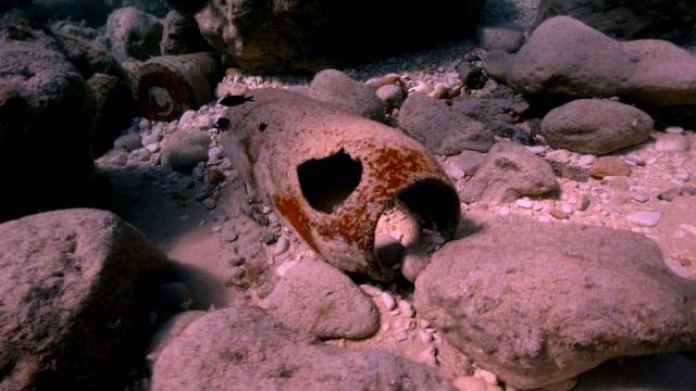 Filfla - an incredible malta diving experience Filfla - an incredible malta diving experience