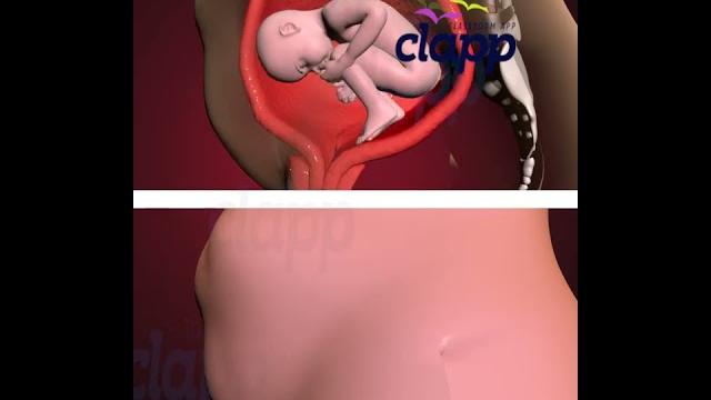 Amazing child moments inside the womb (3d animation) Amazing child moments inside the womb (3d animation)