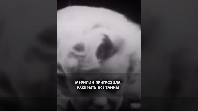 Кто убил мэрилин #shorts #убийца #мэрилинмонро Кто убил мэрилин #shorts #убийца #мэрилинмонро