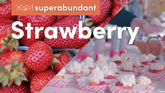 Oregon strawberries' sweet mix of science + history | pacific northwest food | superabundant s2 e4 Oregon strawberries' sweet mix of science + history | pacific northwest food | superabundant s2 e4