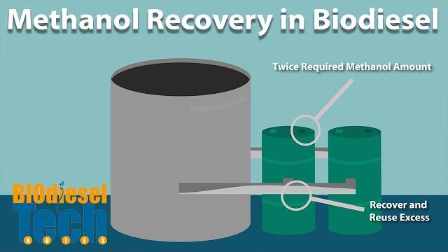 Methanol recovery in biodiesel production Methanol recovery in biodiesel production