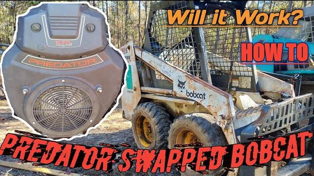 Predator swapped bobcat Predator swapped bobcat
