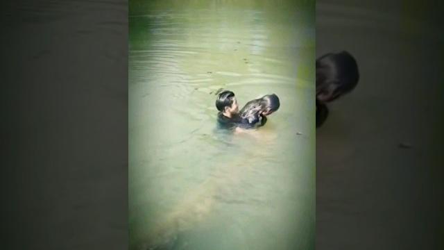 Mesum dalam air video lucu, tingkah anak jaman sekarang #shorts #short #memes #viral Mesum dalam air video lucu, tingkah anak jaman sekarang #shorts #short #memes #viral