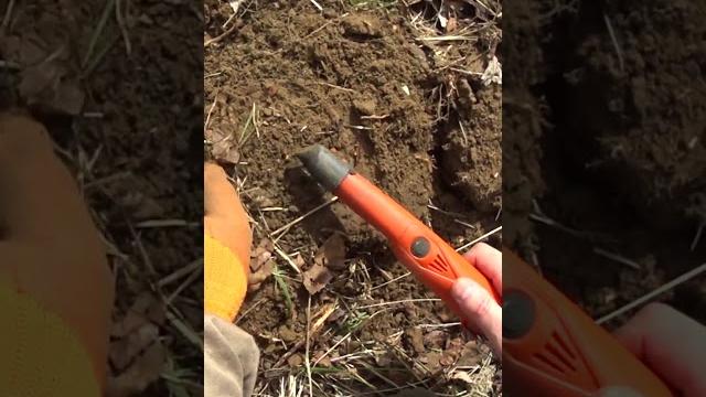 Пуговица гирька маленькая #клад #копатель #коп #metaldetecting #находки #металлоискатель #поиск Пуговица гирька маленькая #клад #копатель #коп #metaldetecting #находки #металлоискатель #поиск