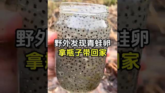 它看起来像是奇亚籽,其实是“青蛙卵” #青蛙卵 #动物世界 #动物的迷惑行为 #趣事 它看起来像是奇亚籽,其实是“青蛙卵” #青蛙卵 #动物世界 #动物的迷惑行为 #趣事