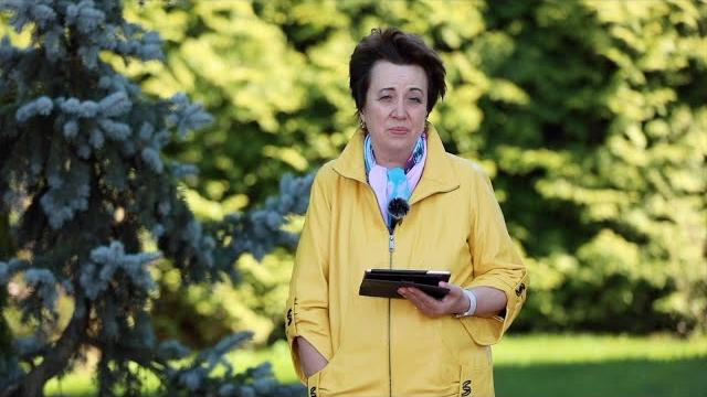 3555. хлеб на каждый день. 21 июня. псалом 84:11 3555. хлеб на каждый день. 21 июня. псалом 84:11