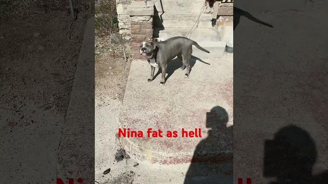 Nina steals the show #414 Nina steals the show #414