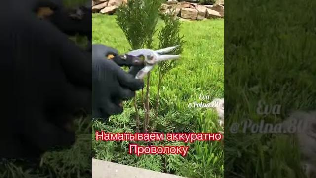 Мастер класс шарики на ножках Мастер класс шарики на ножках