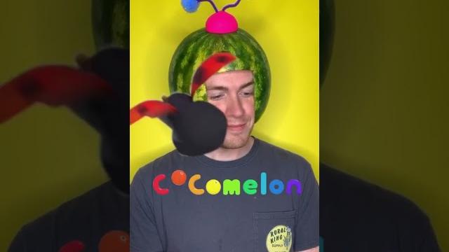 Cocomelon. the good ending #shorts Cocomelon. the good ending #shorts
