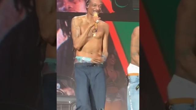 Snoop dogg || young wild and free Snoop dogg || young wild and free