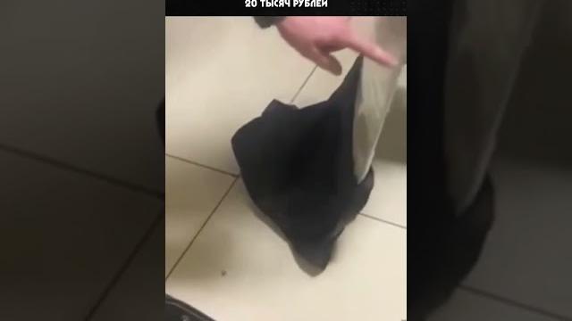 В аэропорту владивостока задержали наркокурьера из москвы, который ввёз с собой 3 кг героина. В аэропорту владивостока задержали наркокурьера из москвы, который ввёз с собой 3 кг героина.