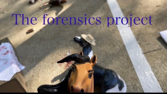 Forensics project Forensics project