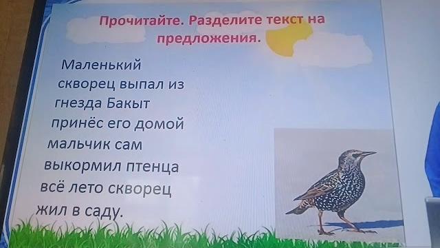 Орус тил Орус тил