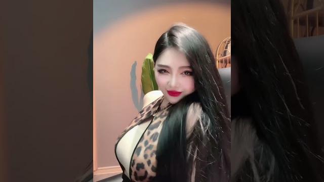 我是洋洋 我是洋洋