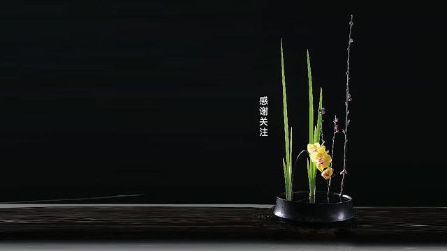 跟倪誌翔老師學插花 8 ni zhixiang 插花藝術 插花大師 ikebana 跟倪誌翔老師學插花 8 ni zhixiang 插花藝術 插花大師 ikebana