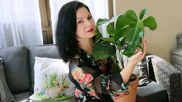 Монстера,удивительное растение для дома.уход и содержание #влог #мотивация #комнатныерастения # Монстера,удивительное растение для дома.уход и содержание #влог #мотивация #комнатныерастения #