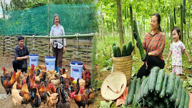 Working hard with her husband and mother-in-law to build the farm and take care of her daughter Working hard with her husband and mother-in-law to build the farm and take care of her daughter
