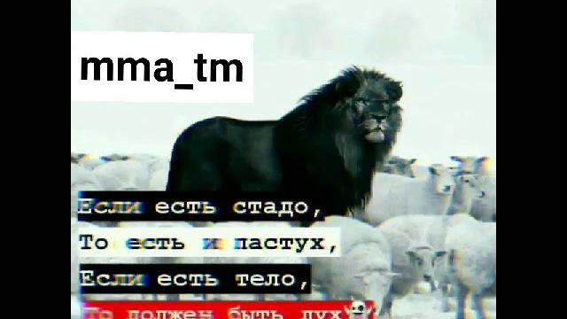 Ҳ Ҳ