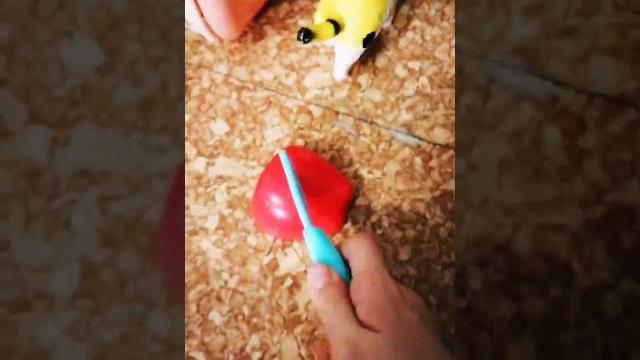 Готовлю для рича Готовлю для рича